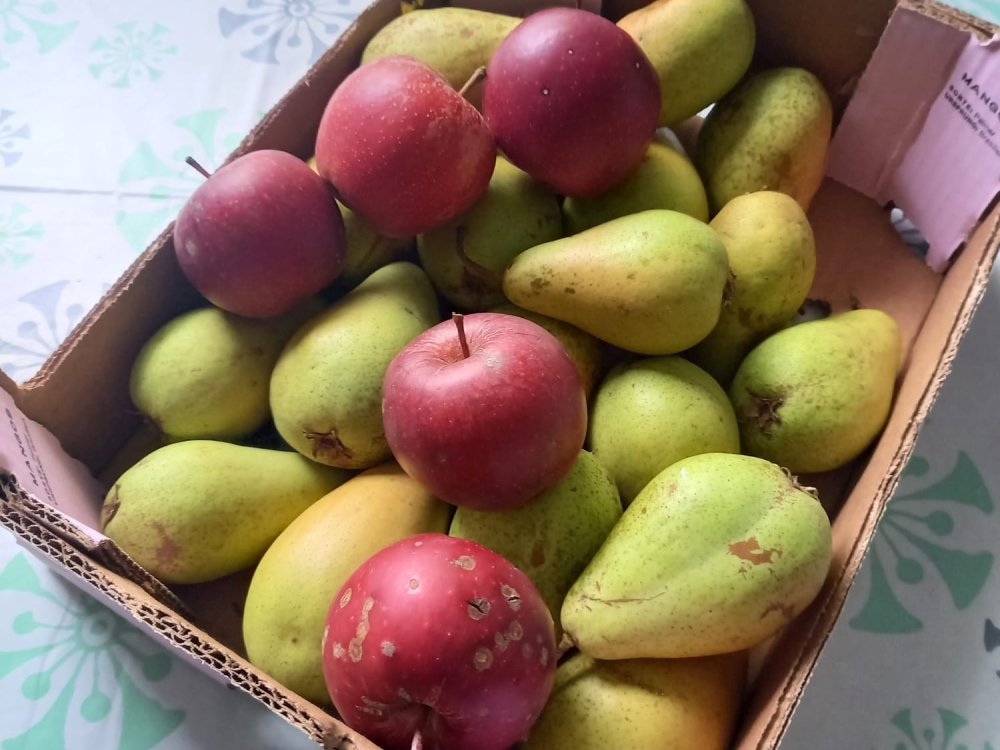 Erste große Ernte - Blühwiesen-Update